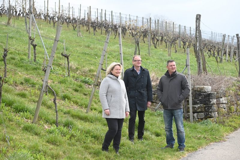 Weinfactum, Claudia Weickmann, Joachim Koelz, Ralph Stirm